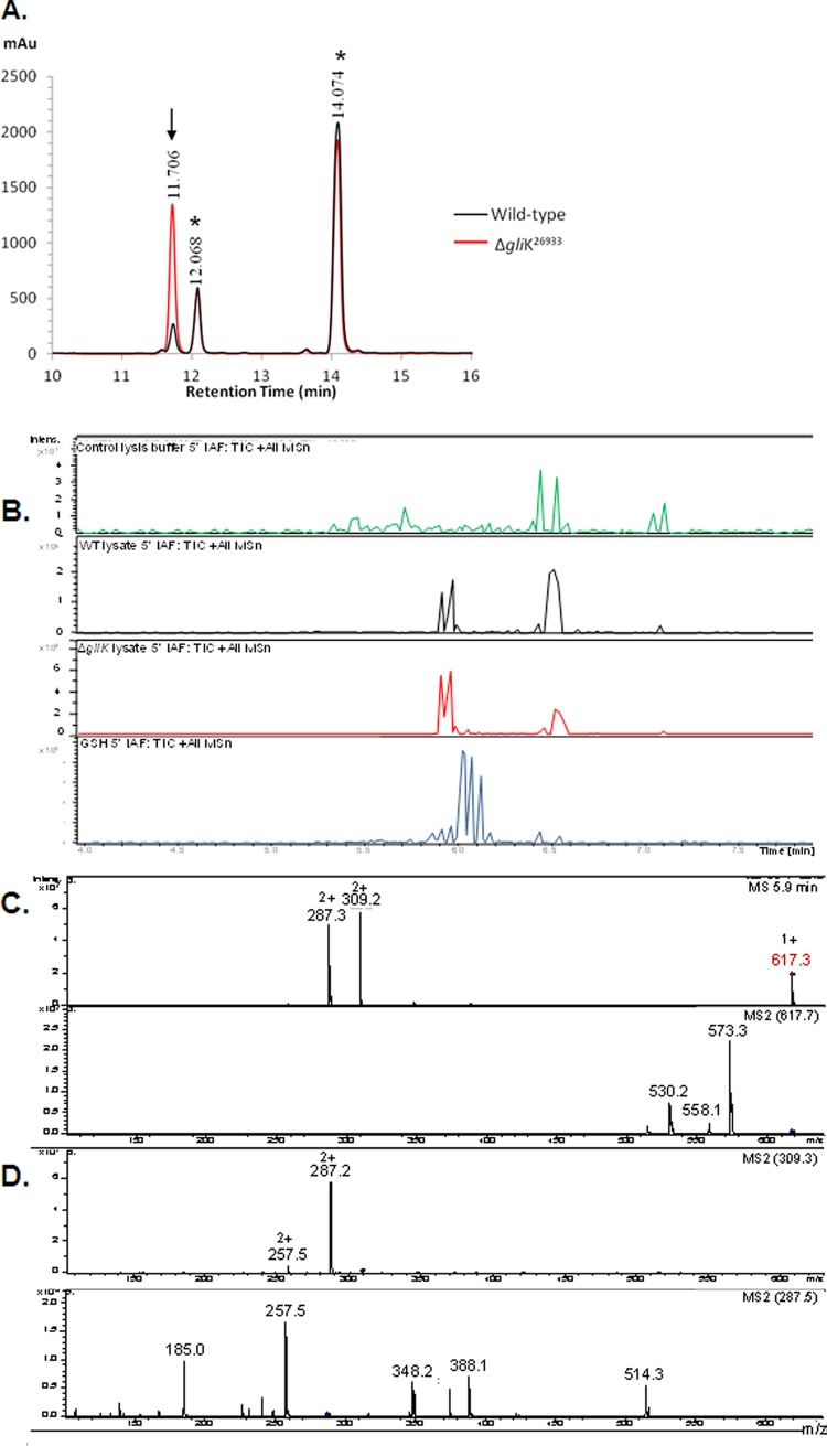 Fig 6