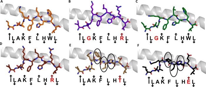 FIGURE 5.