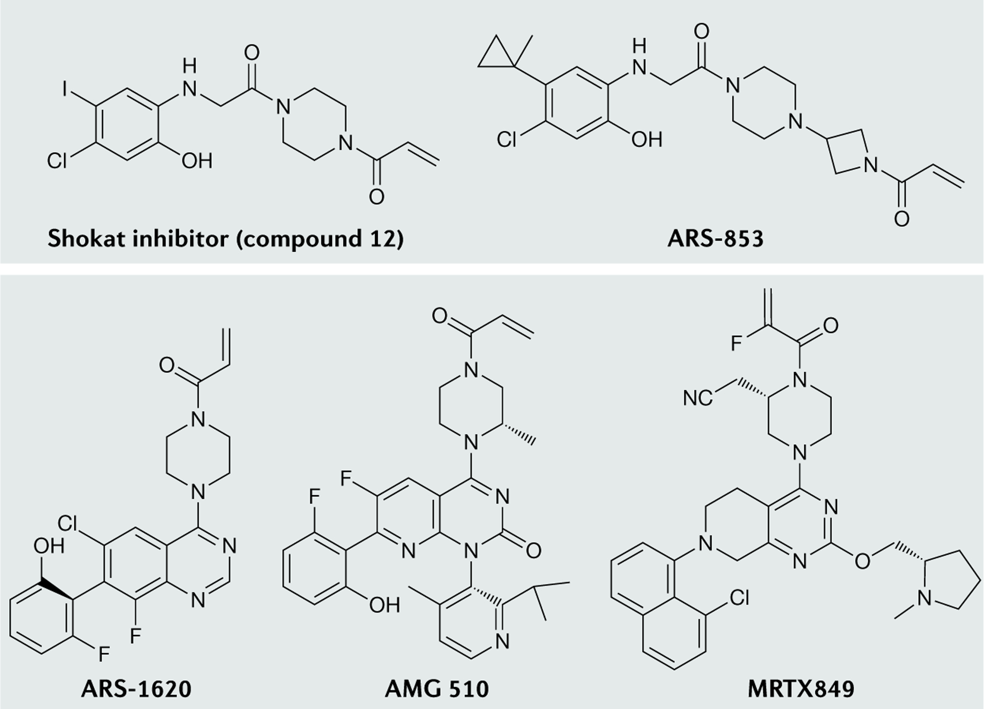 Fig. 4 |