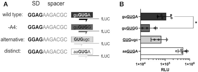 Figure 10.