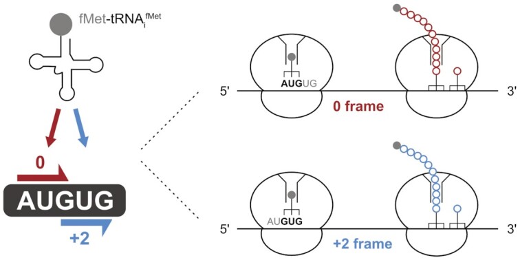 Graphical Abstract