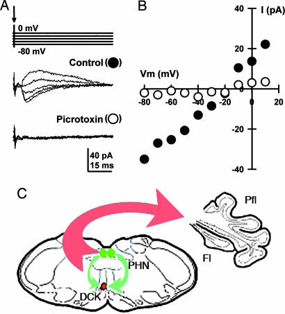 Fig. 5.