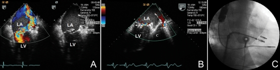 Figure 3