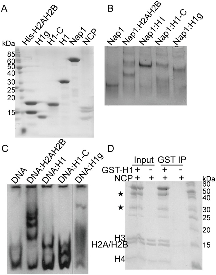 Fig 6