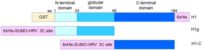 Fig 1