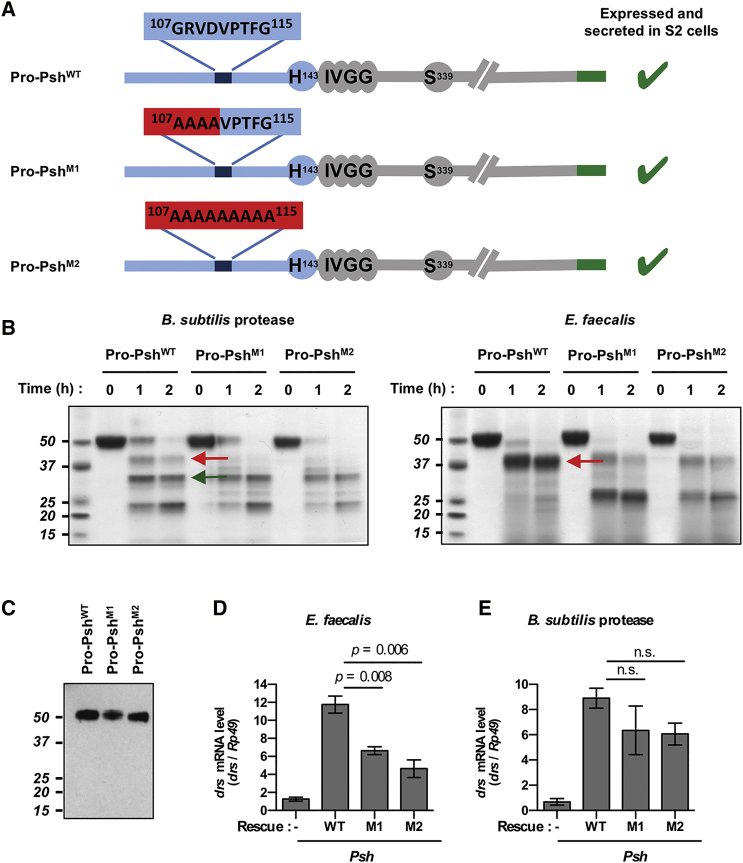 Figure 4