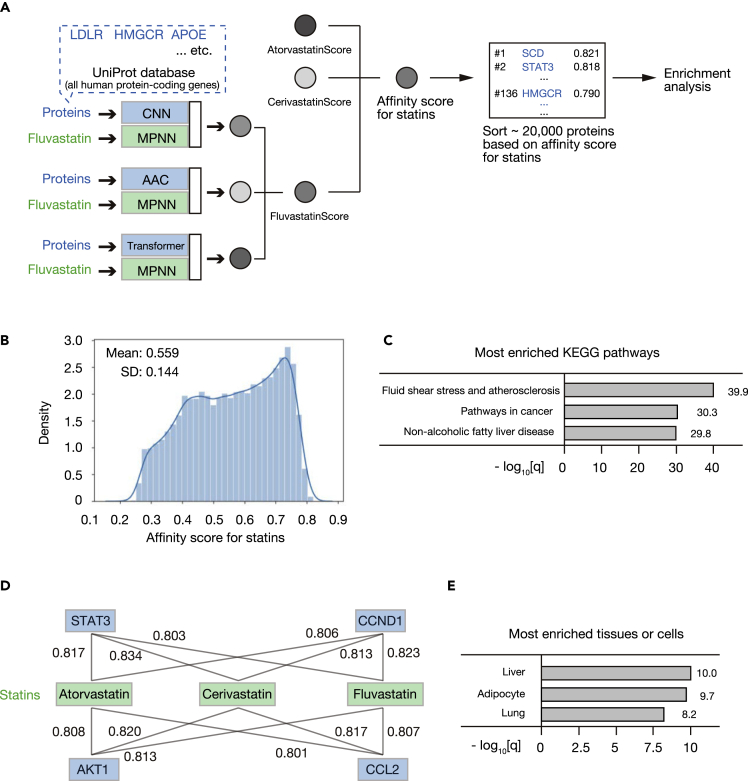 Figure 6