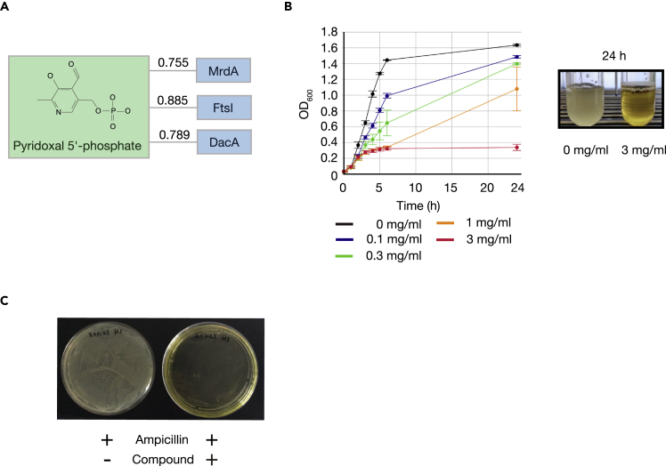 Figure 4