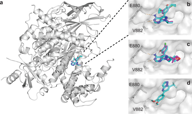 Fig. 7