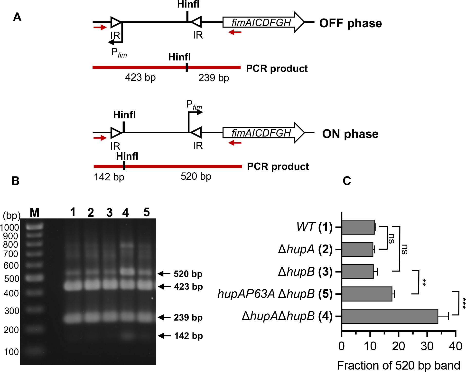 Fig. 8.