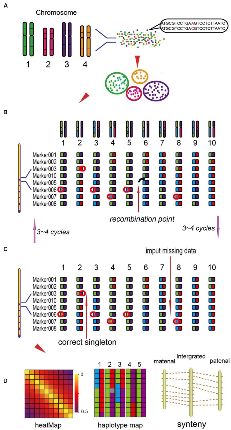 FIGURE 1