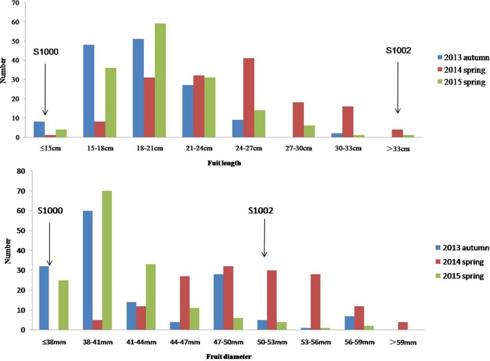 FIGURE 3