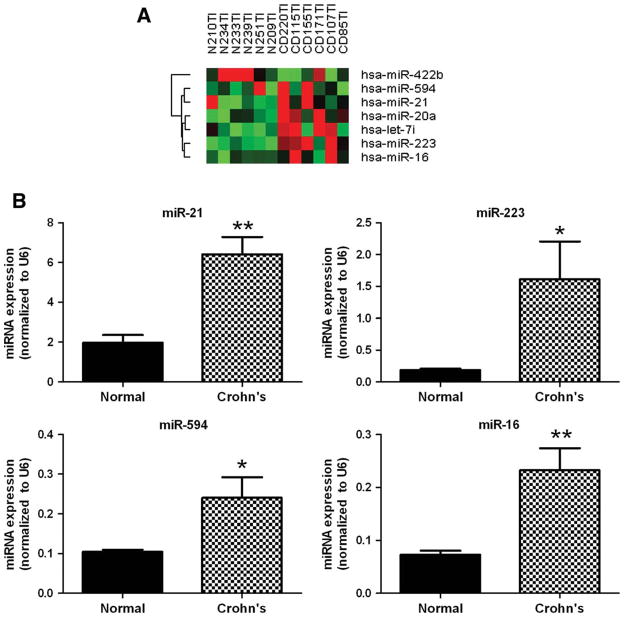 FIGURE 4