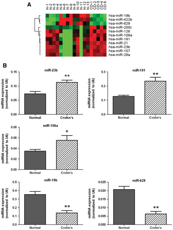 FIGURE 3