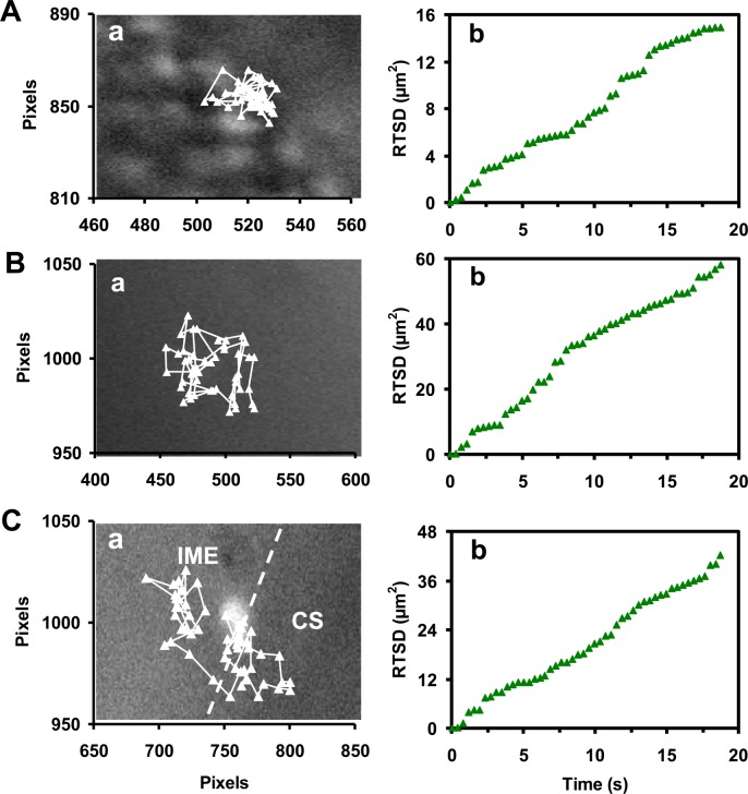 Figure 4.