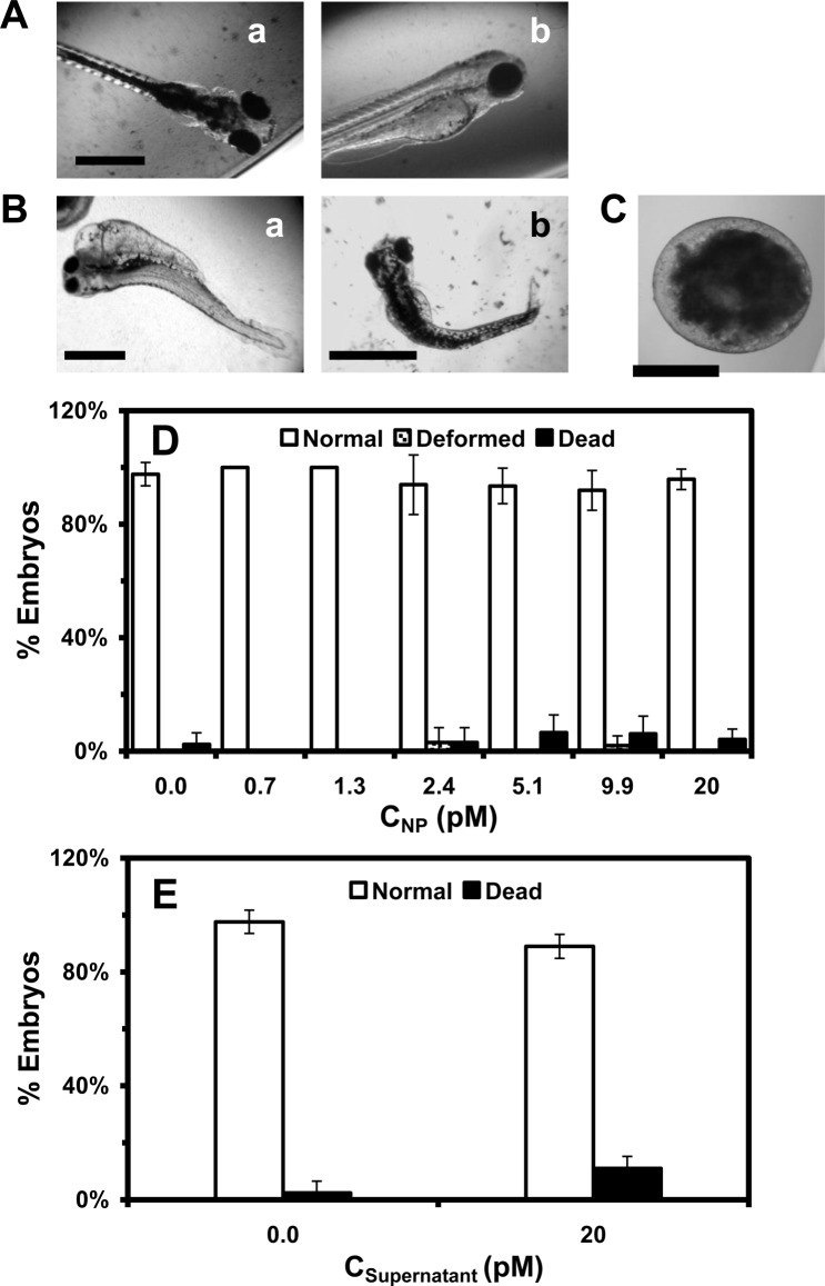 Figure 5.