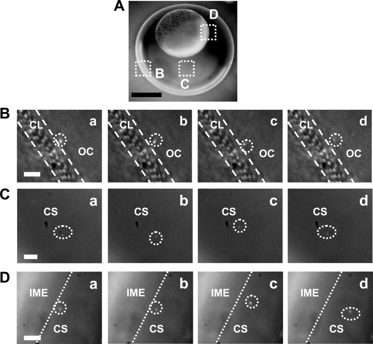 Figure 3.