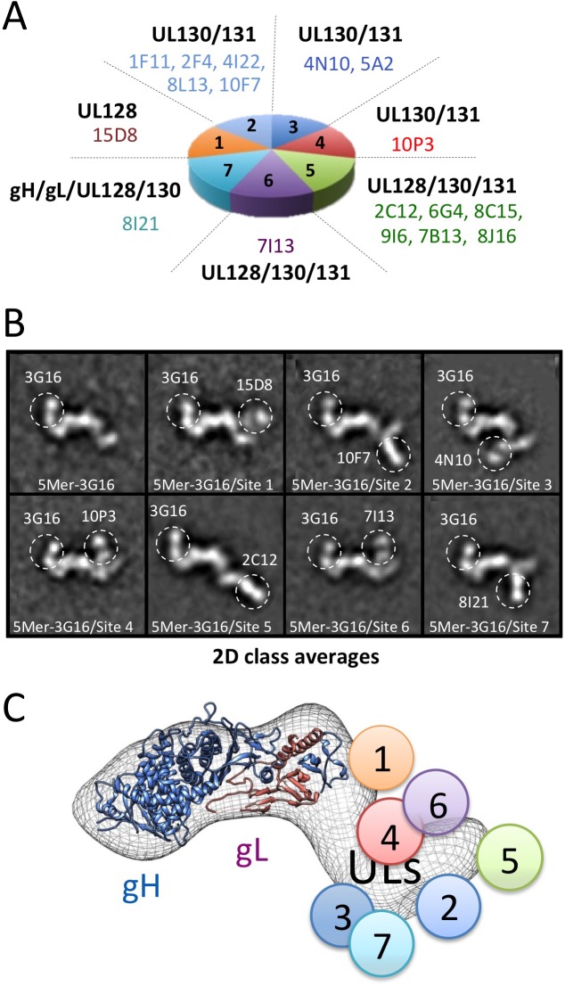 Fig 4