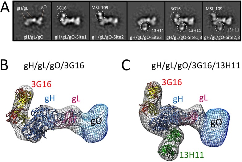 Fig 2