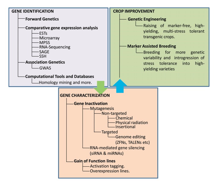 Fig. (3)