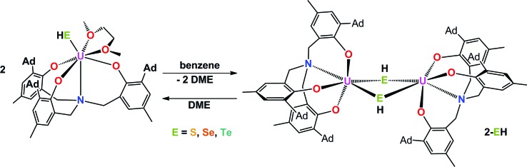 Scheme 2