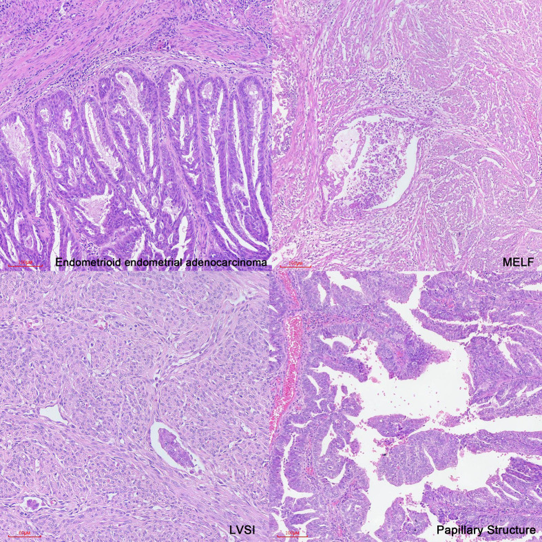 Figure 3