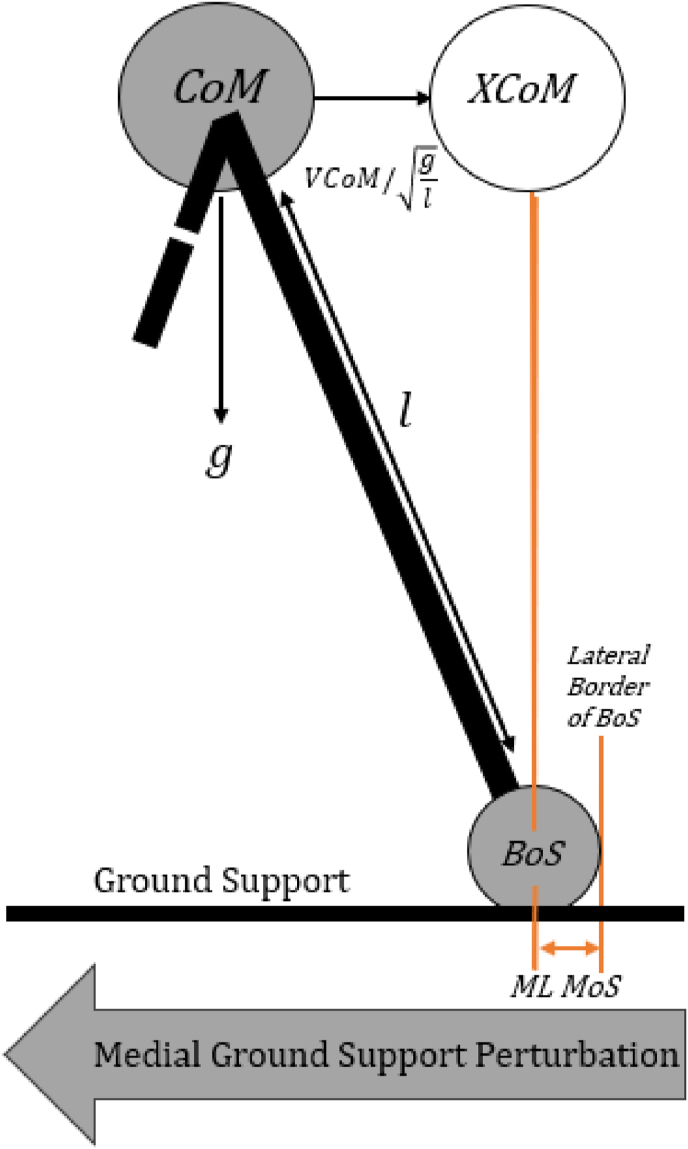 Fig. 2