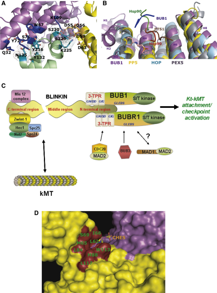 Figure 6