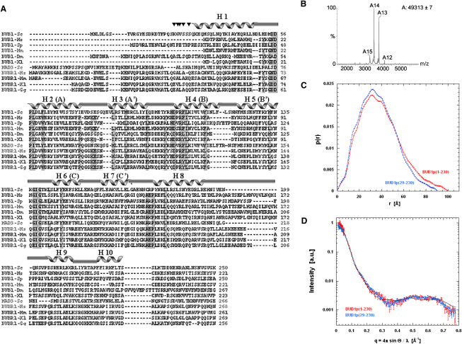 Figure 2