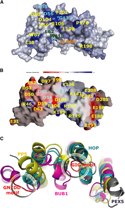 Figure 4