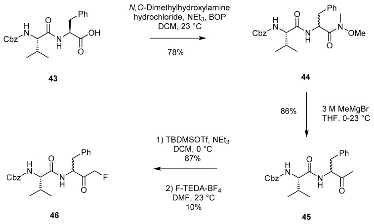 Scheme 8