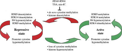 Figure 7.