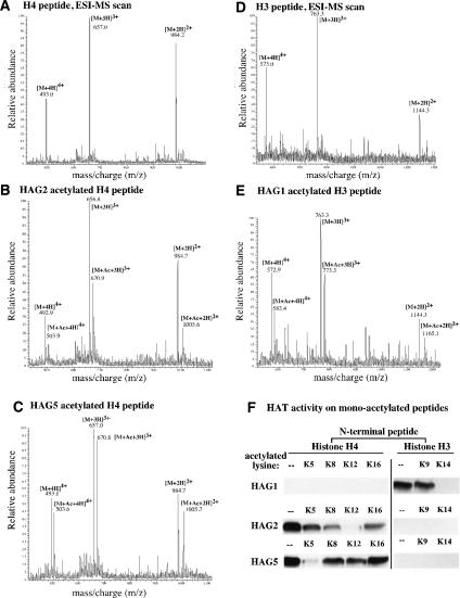 Figure 4.