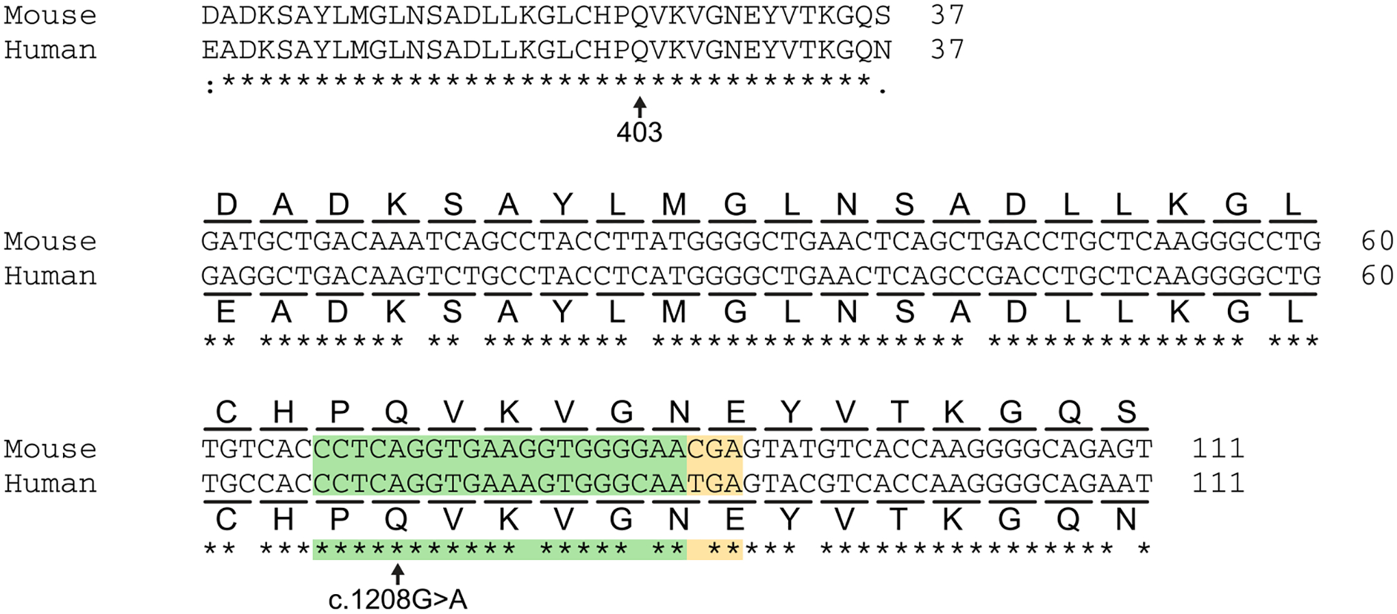 Extended Data Fig. 3 |