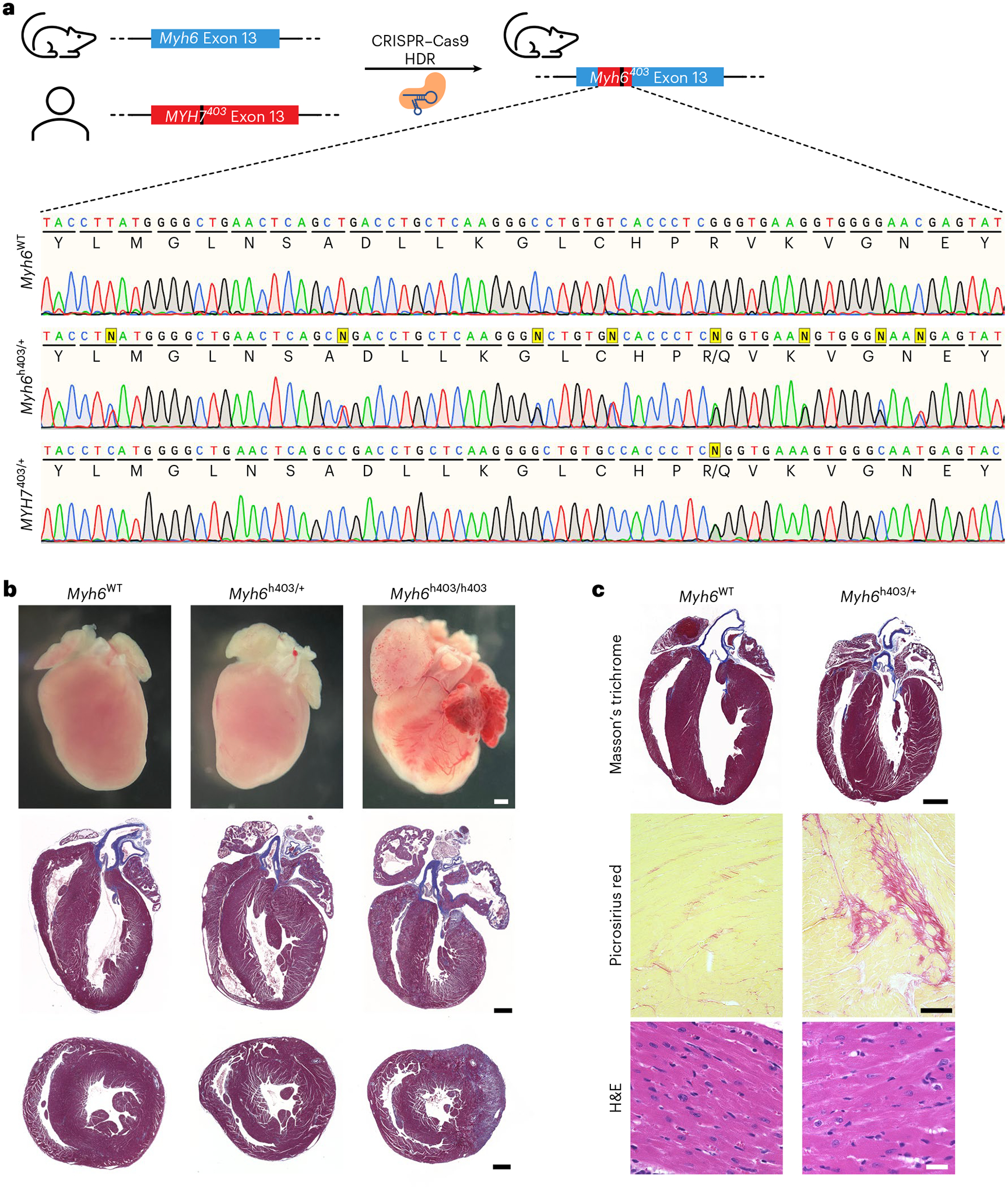 Fig. 3 |