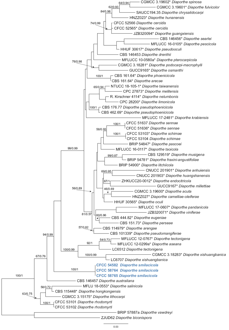 Figure 2.