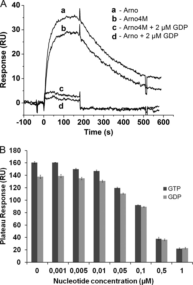 FIGURE 5.