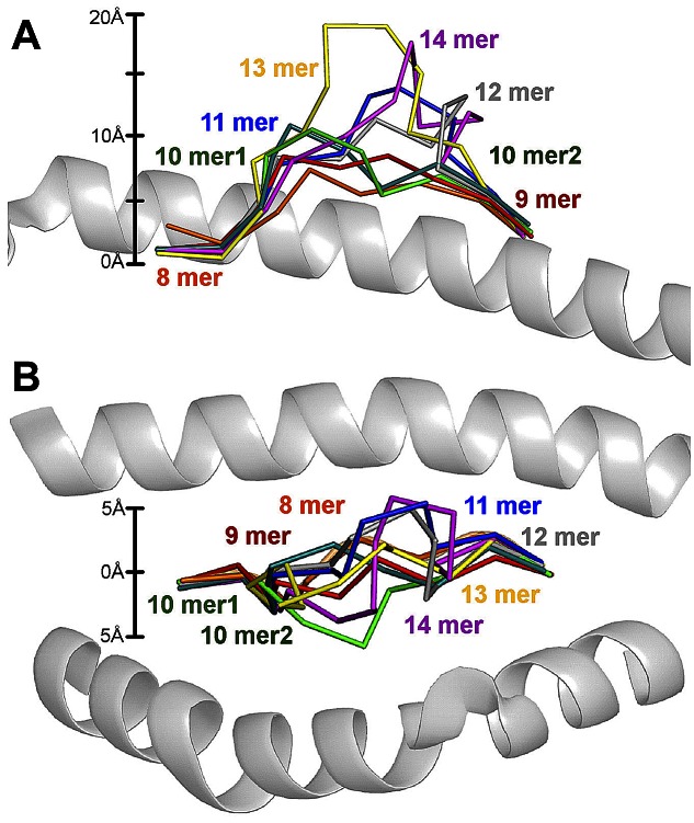 Figure 8