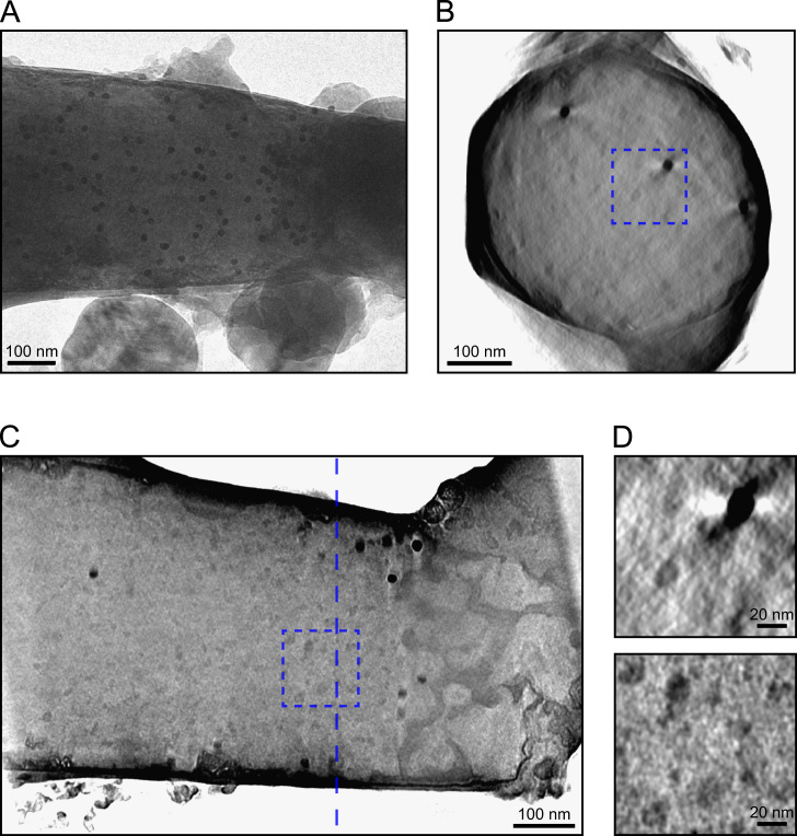 Fig. 4