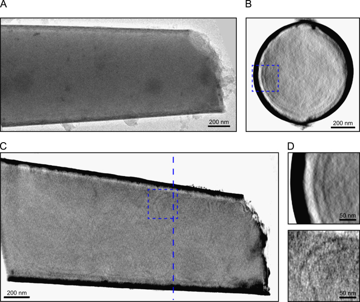 Fig. 7