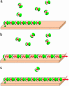 Fig. 1.