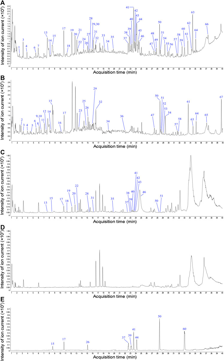 FIGURE 3