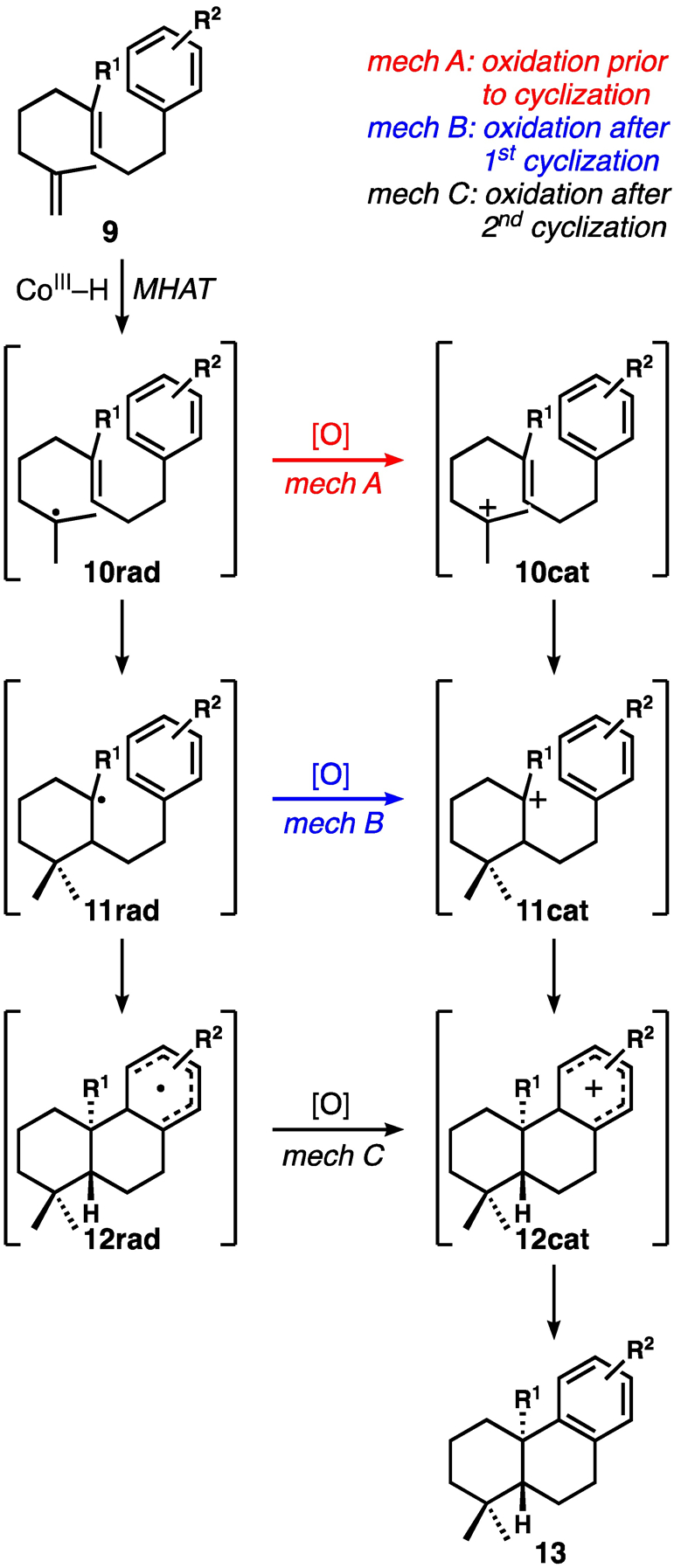 Scheme 1.