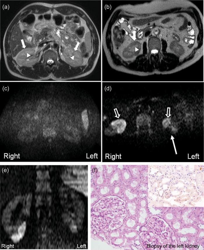 Fig. 1.