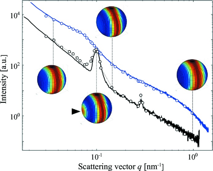 Figure 6