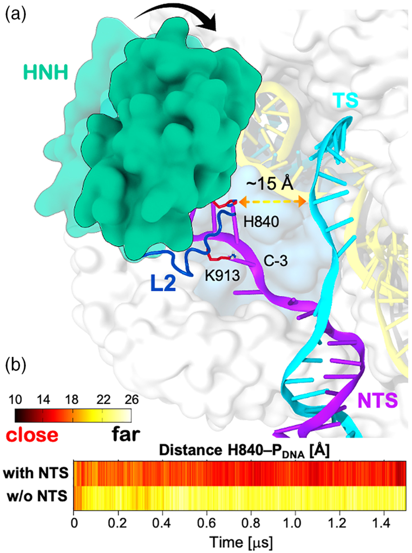 FIGURE 3