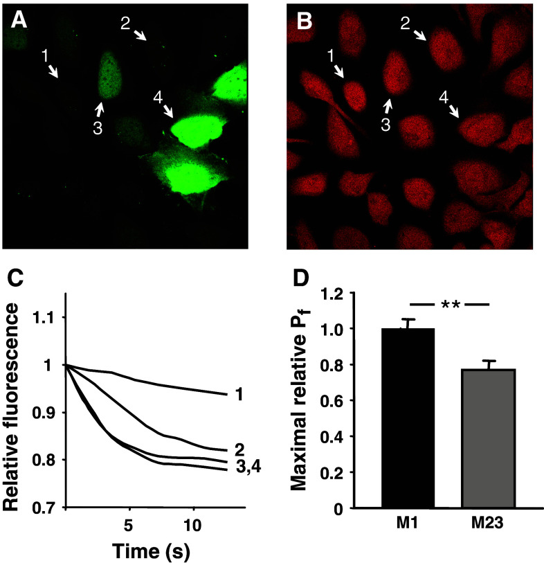 Fig. 3