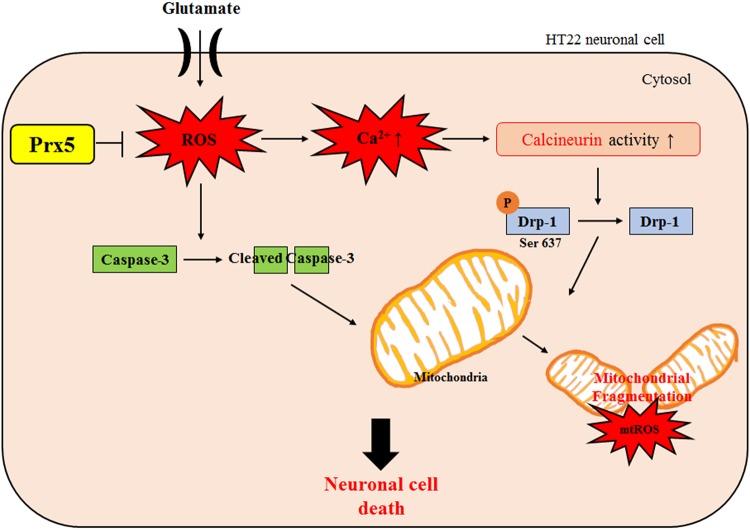 FIG 6