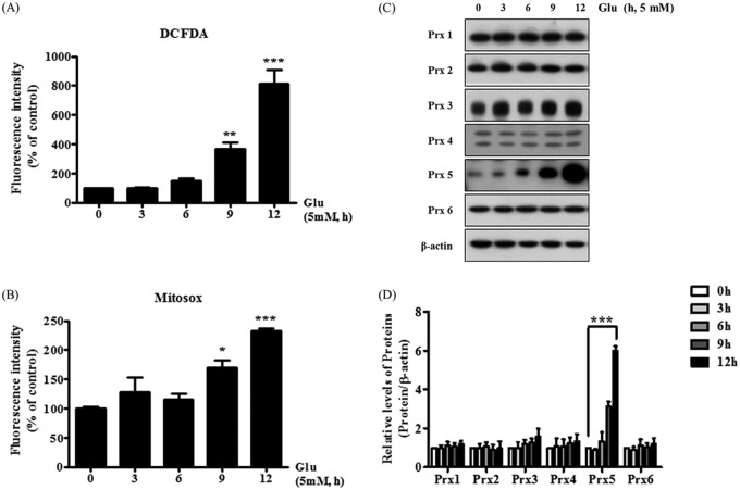 FIG 2