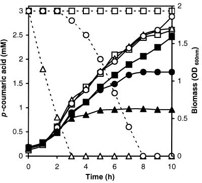 FIG. 5